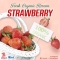 Korea Fresh Strawberry 330g