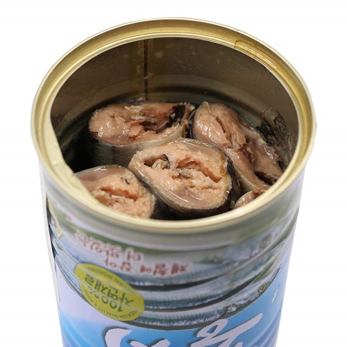 Canned Mackerel Pike 400g